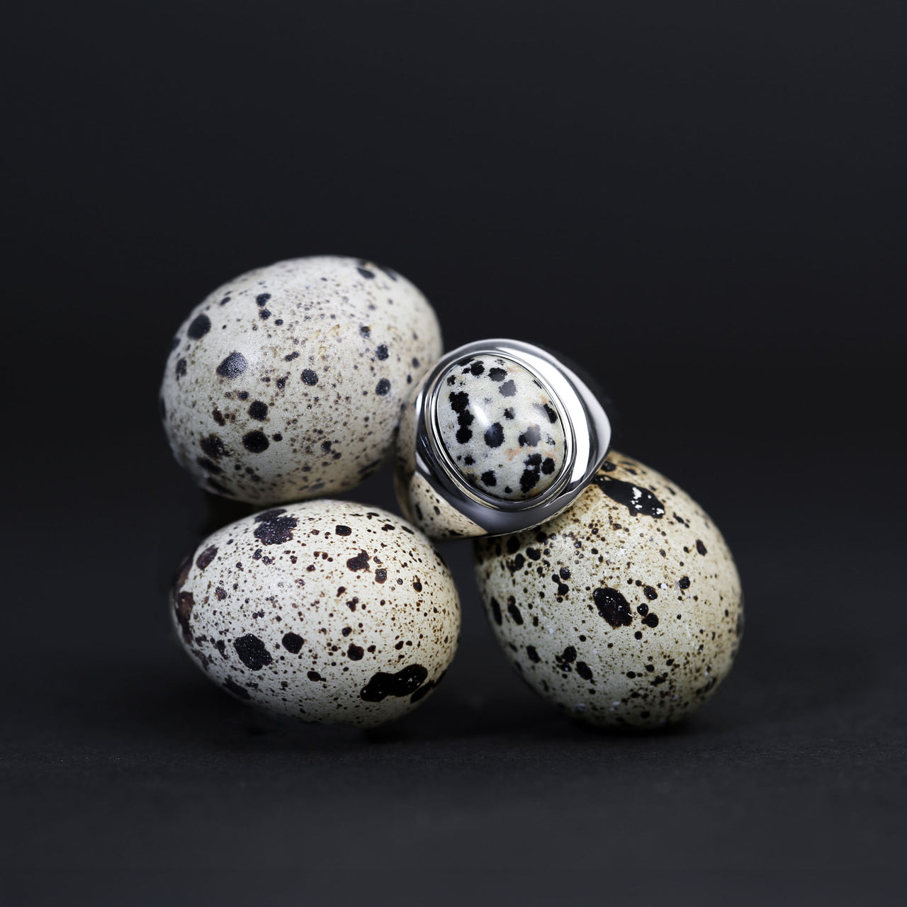 Eon ring L (Dalmatian Jasper)